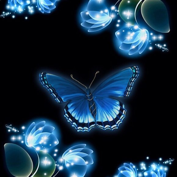 butterfly34654